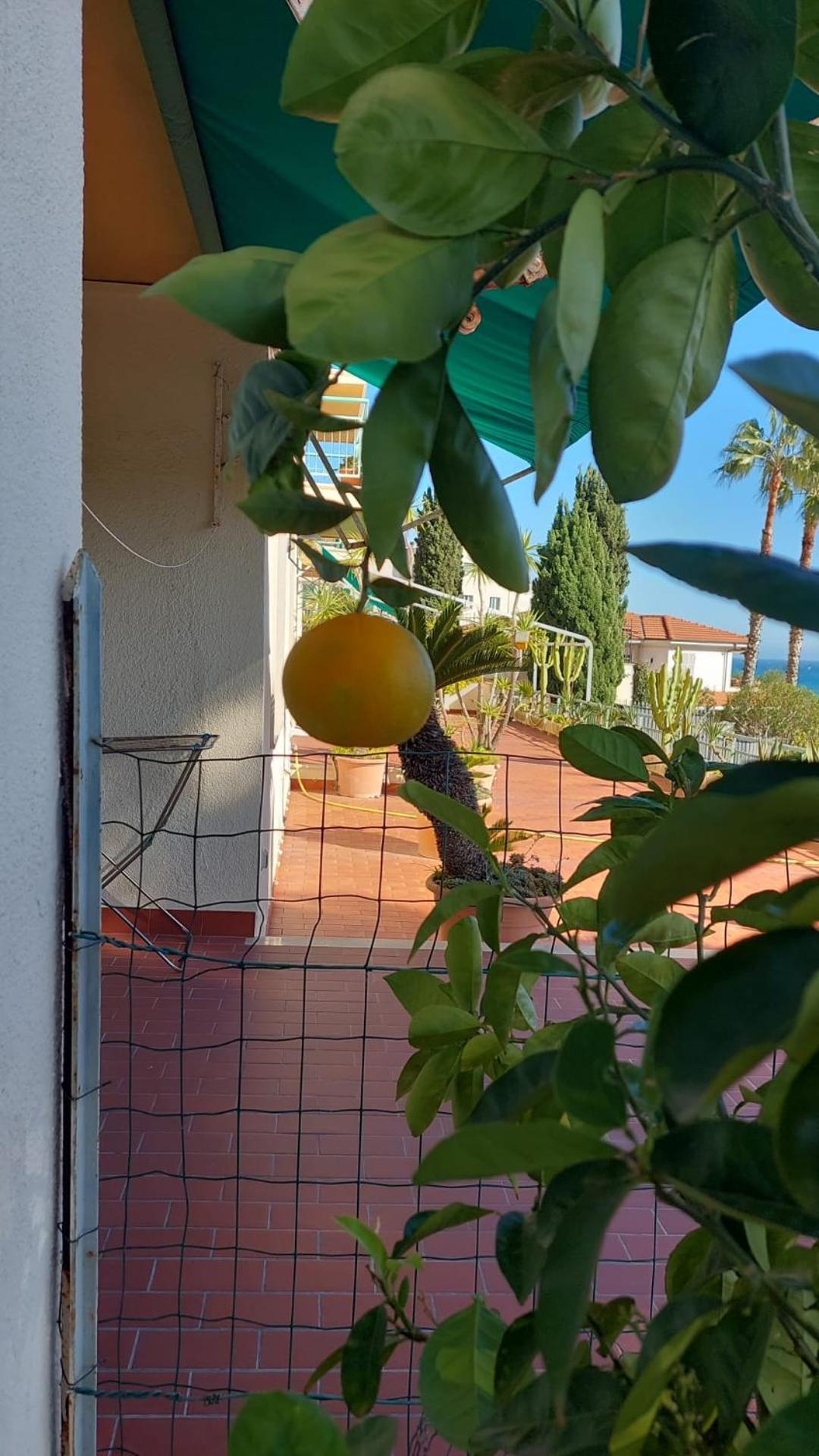 Giangi'S Home Sanremo Dış mekan fotoğraf